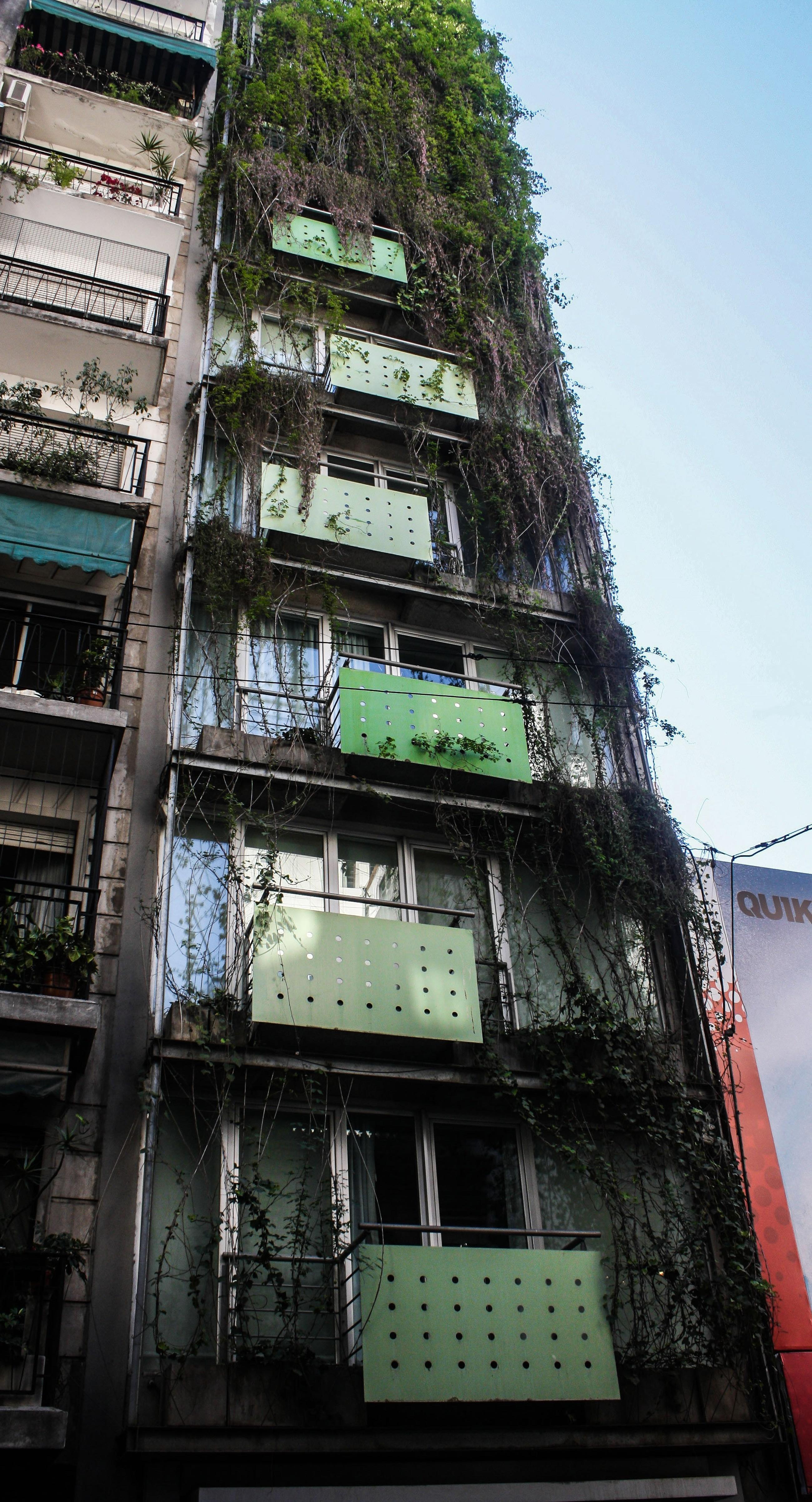 CasaCalma Hotel Buenos Aires Kültér fotó